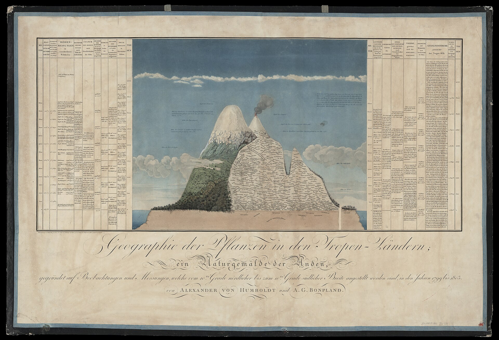 Lámina de Humboldt de 1807 con el Chimborazo en corte y las plantas que crecen a cada altura.